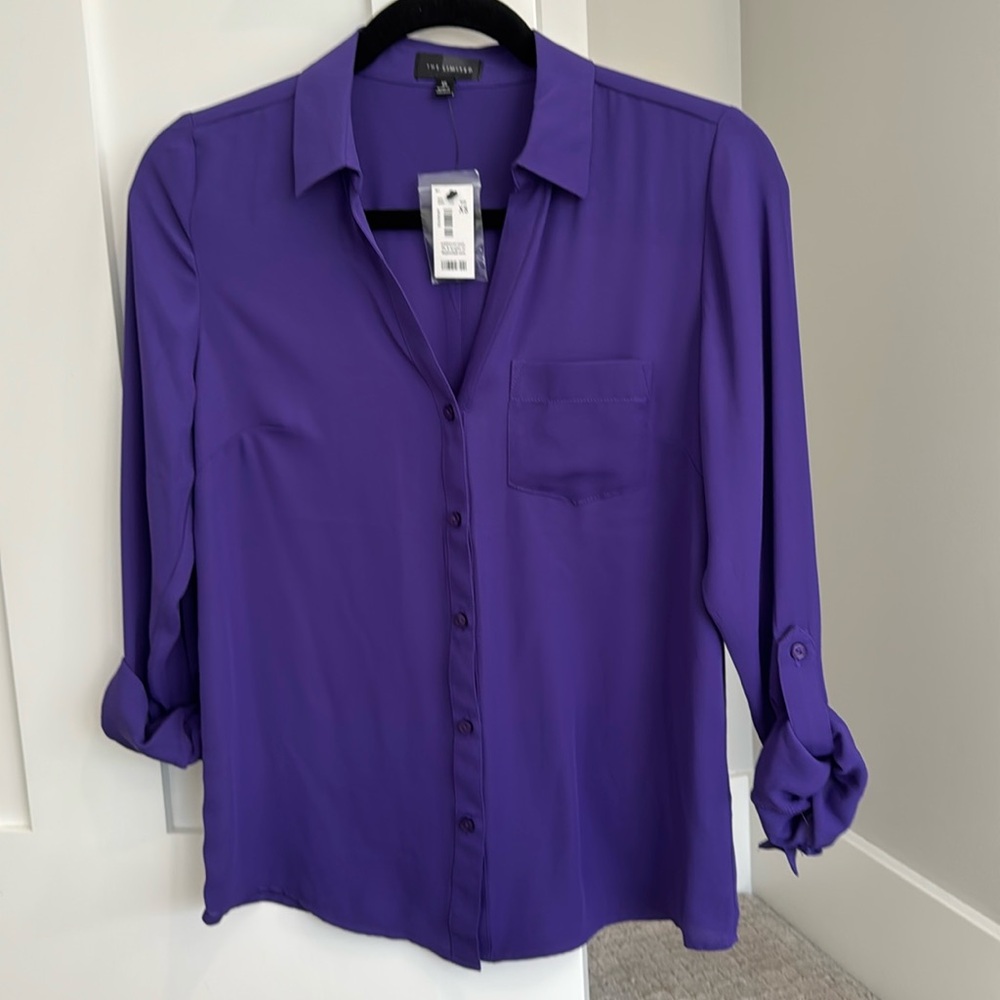The Limited Blouse